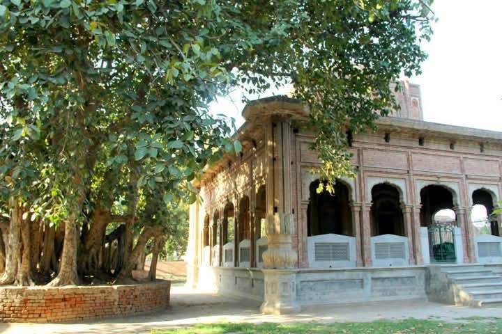 mohallah dhaab wala